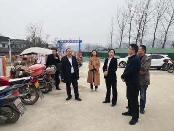 夏兮副县长检查指导一馆一中心项目建设工作